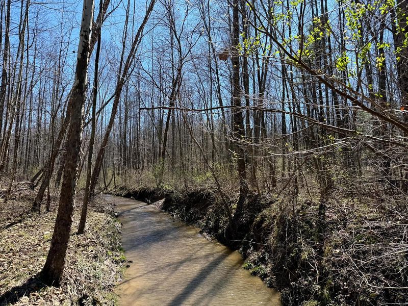 0 Dutch Ridge Road , Unit (Woods Tur, New Lexington, OH 43764 Photo 34