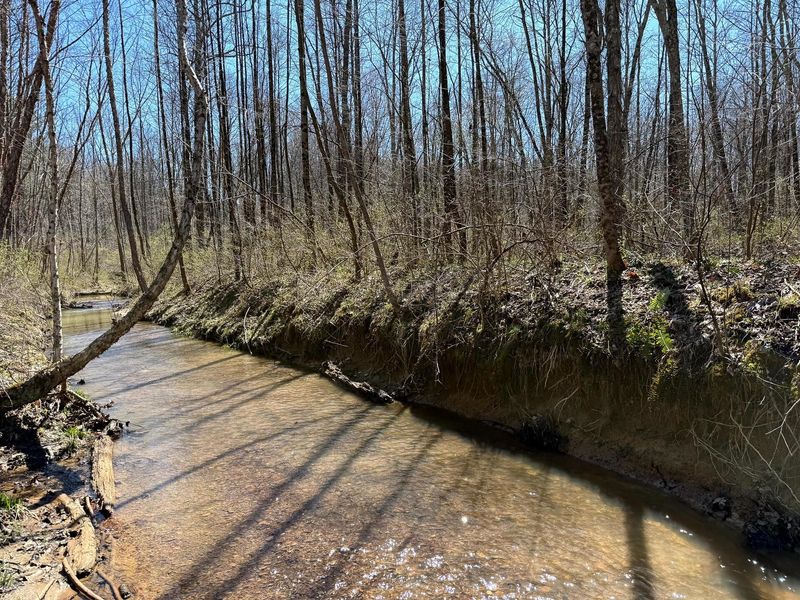 0 Dutch Ridge Road , Unit (Woods Tur, New Lexington, OH 43764 Photo 38