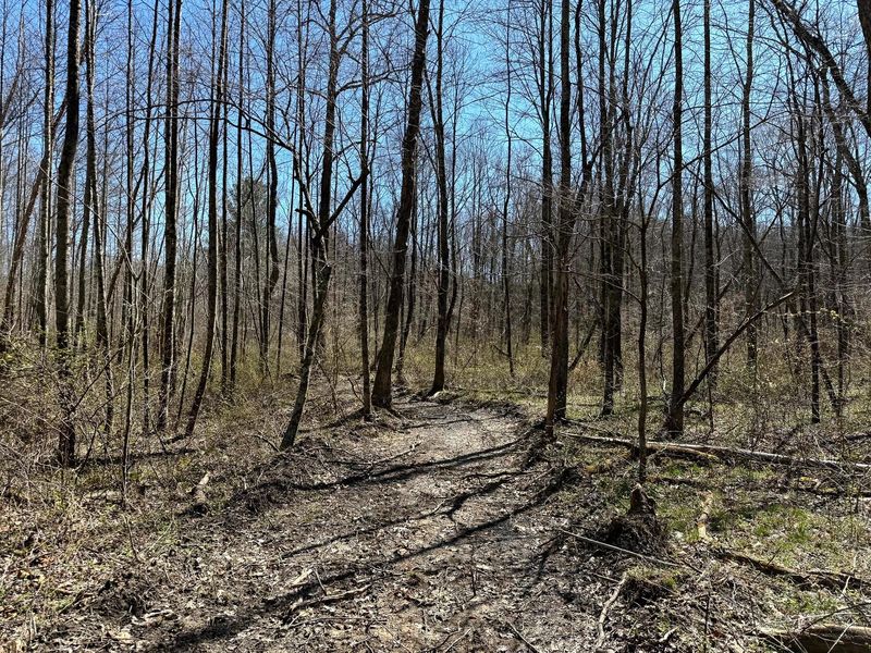 0 Dutch Ridge Road , Unit (Woods Tur, New Lexington, OH 43764 Photo 39