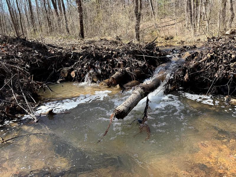 0 Dutch Ridge Road , Unit (Woods Tur, New Lexington, OH 43764 Photo 41