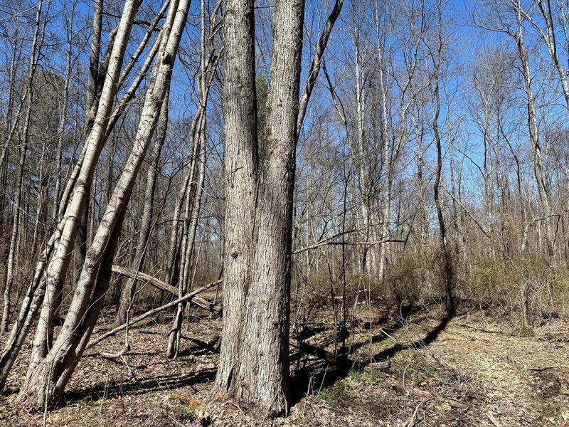 0 Dutch Ridge Road , Unit (Woods Tur, New Lexington, OH 43764 Photo 42