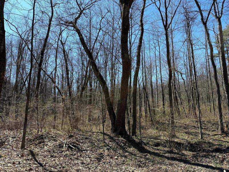 0 Dutch Ridge Road , Unit (Woods Tur, New Lexington, OH 43764 Photo 43