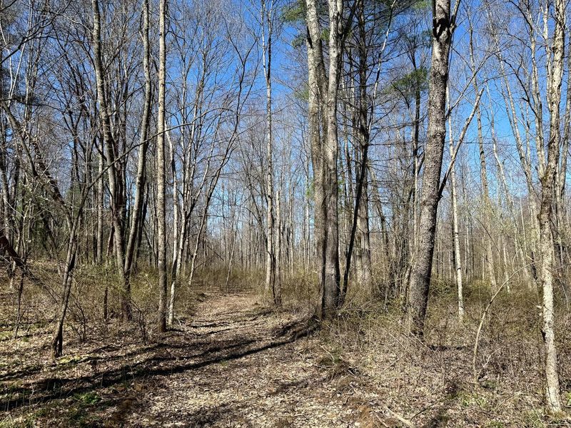 0 Dutch Ridge Road , Unit (Woods Tur, New Lexington, OH 43764 Photo 46