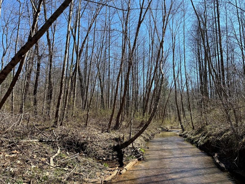 0 Dutch Ridge Road , Unit (Woods Tur, New Lexington, OH 43764 Photo 48