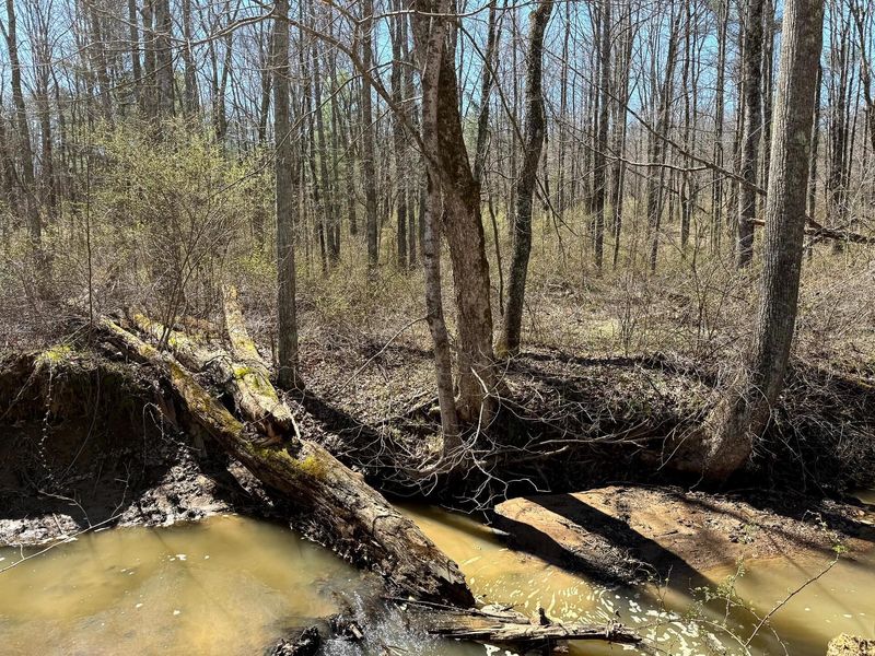 0 Dutch Ridge Road , Unit (Woods Tur, New Lexington, OH 43764 Photo 49