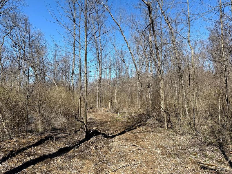 0 Dutch Ridge Road , Unit (Woods Tur, New Lexington, OH 43764 Photo 50