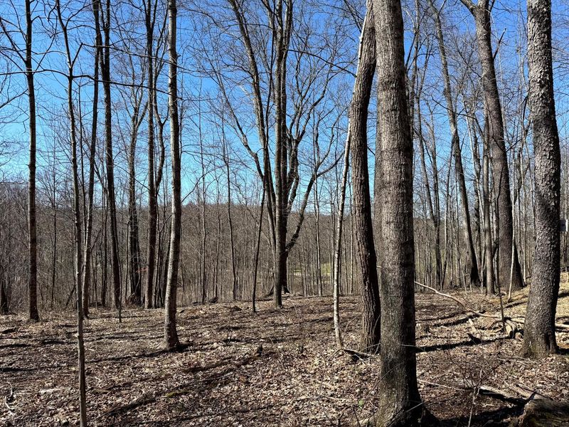 0 Dutch Ridge Road , Unit (Woods Tur, New Lexington, OH 43764 Photo 57