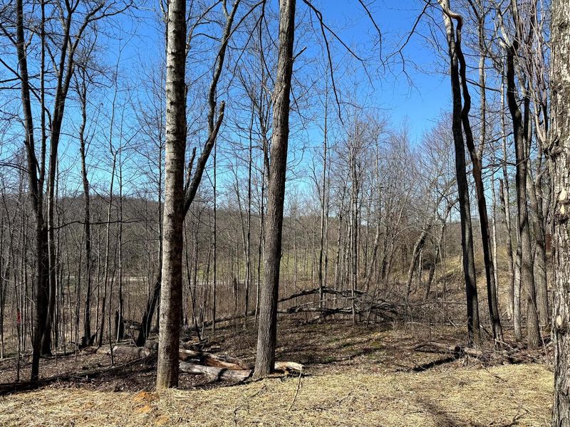 0 Dutch Ridge Road , Unit (Woods Tur, New Lexington, OH 43764 Photo 58