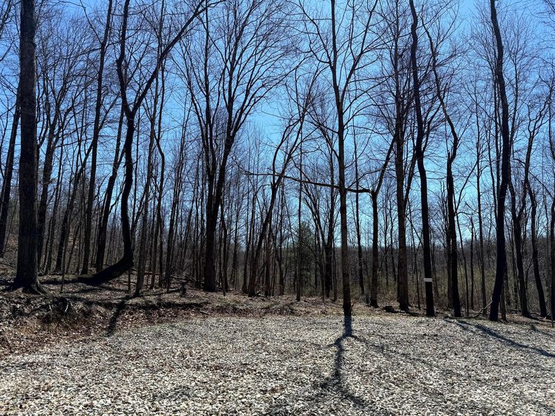 0 Dutch Ridge Road , Unit (Woods Tur, New Lexington, OH 43764 Photo 8