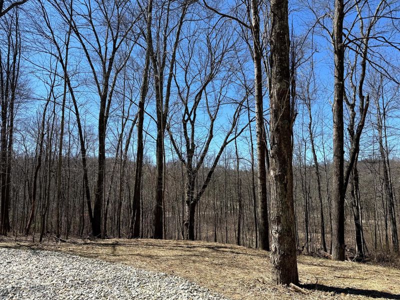 0 Dutch Ridge Road , Unit (Woods Tur, New Lexington, OH 43764 Photo 9