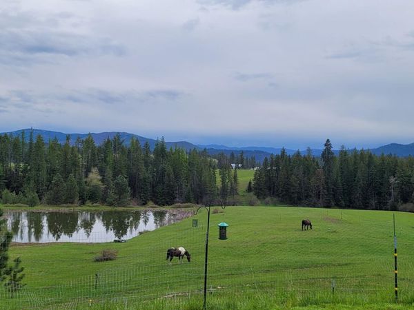 232 Cheyenne DR , St. Maries, ID 83861