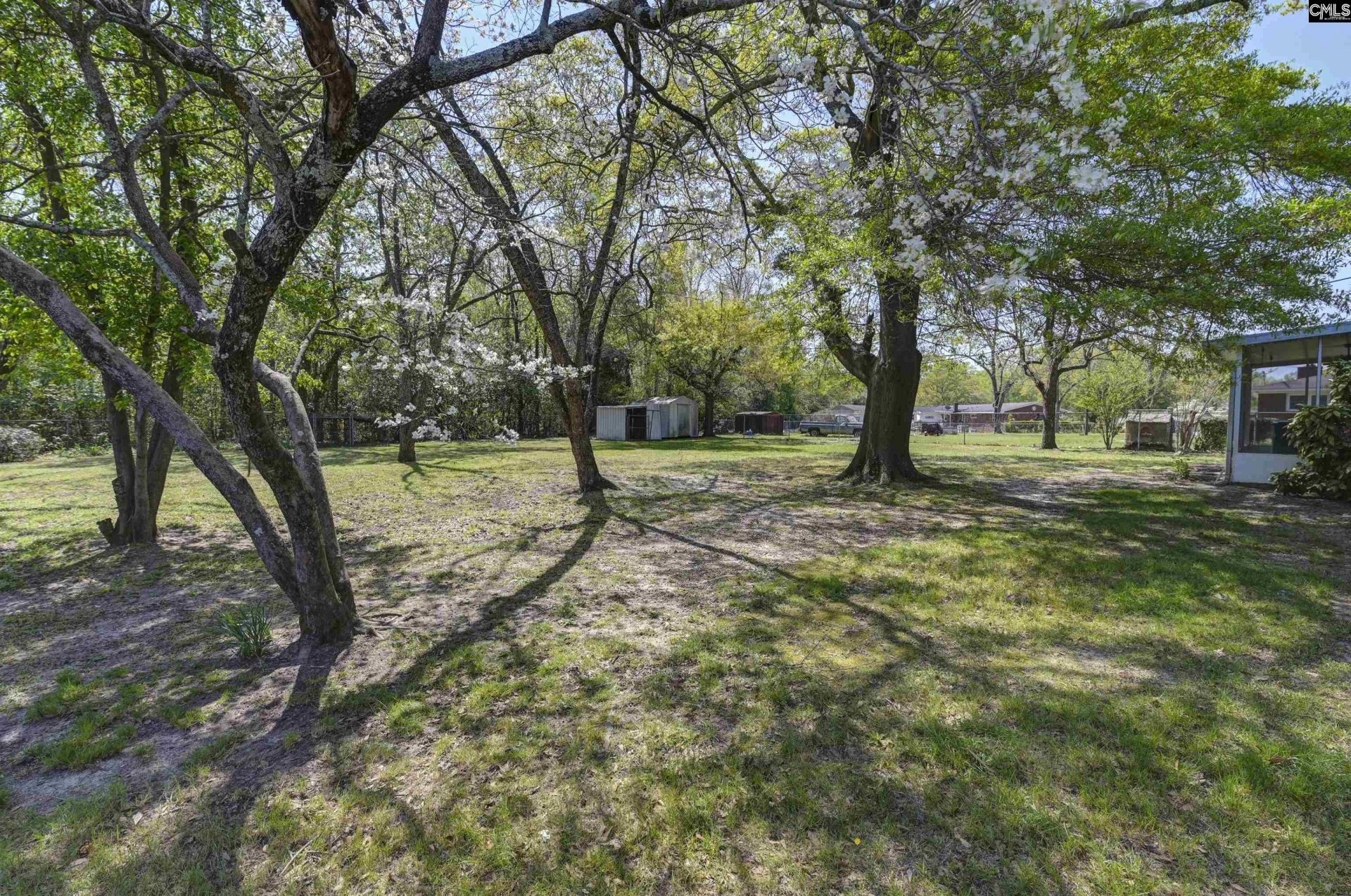 534 Edisto Drive Photo 14