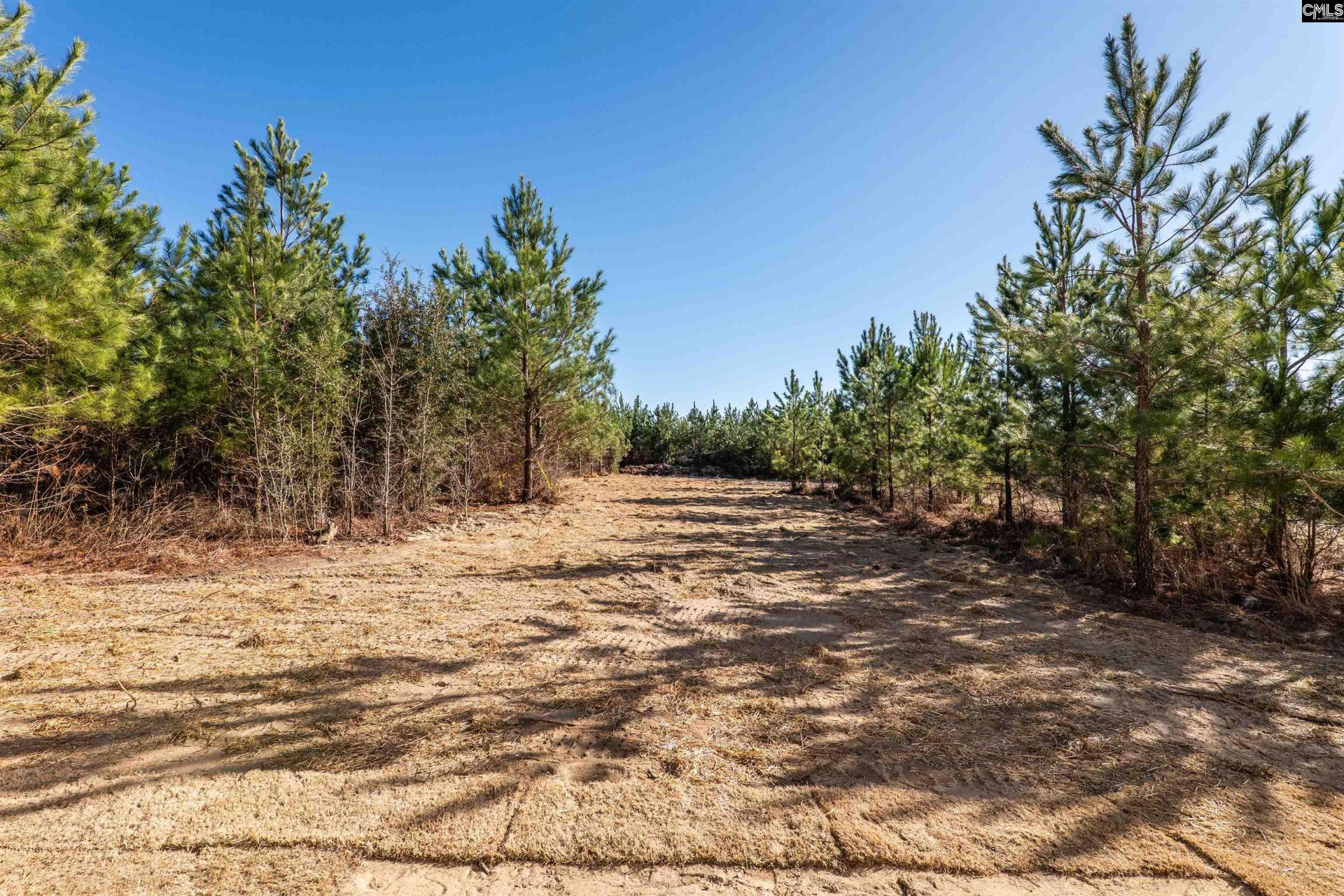 731 Old Stagecoach Road Photo 15