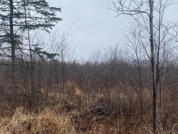 ON Shauger Road, Ogema, WI 54459