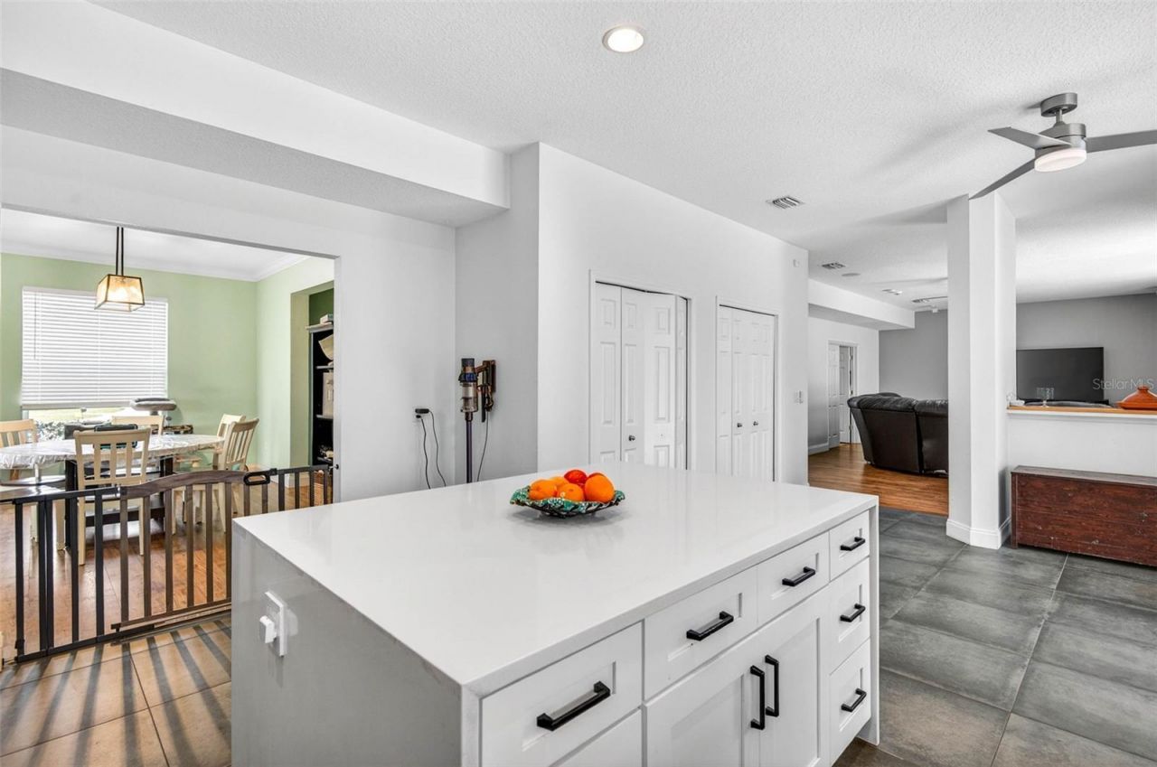 4308 Harborwatch Lane, Lutz, FL 33558 Photo