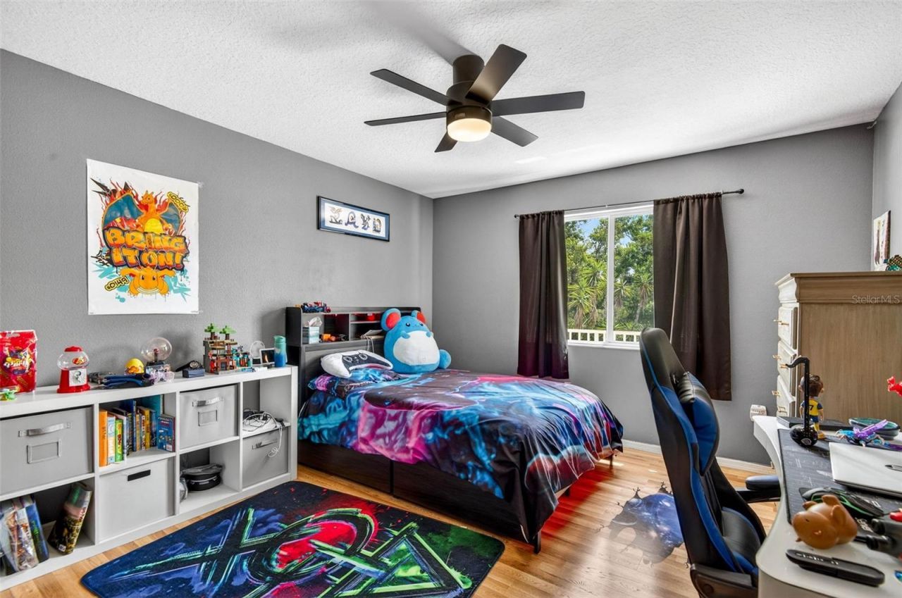 4308 Harborwatch Lane, Lutz, FL 33558 Photo