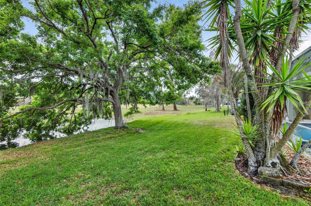 4308 Harborwatch Lane, Lutz, FL 33558 Photo