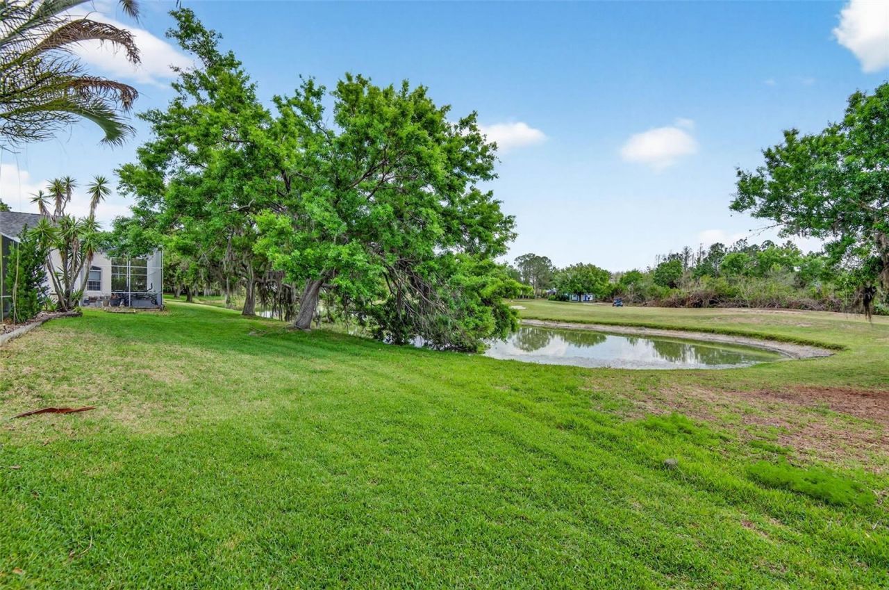 4308 Harborwatch Lane, Lutz, FL 33558 Photo