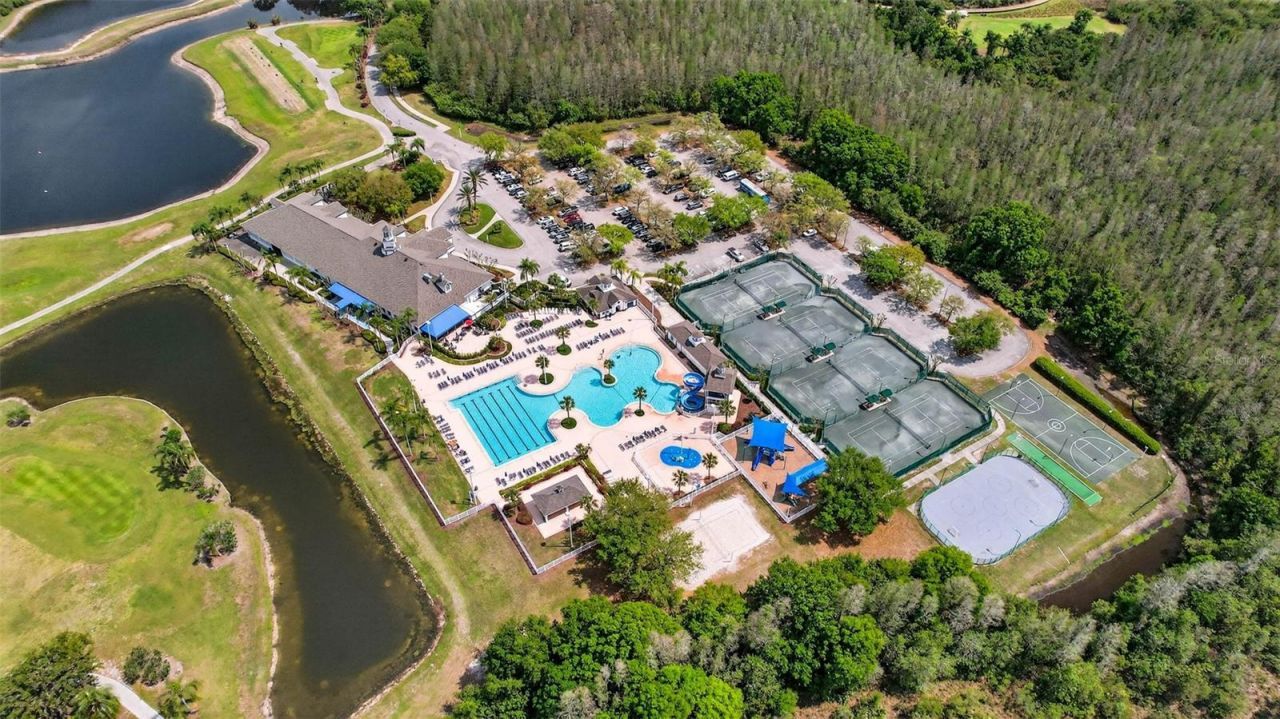 4308 Harborwatch Lane, Lutz, FL 33558 Photo