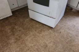 4109 Hileah Drive photo 4