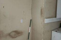 4109 Hileah Drive photo 4