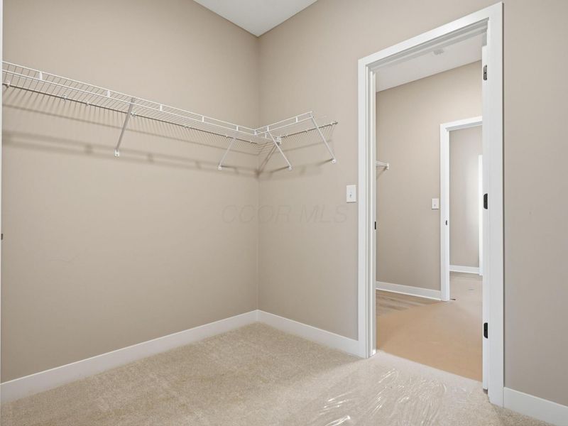 4547 Corsican Loop E, Hilliard, OH 43026 Photo 37