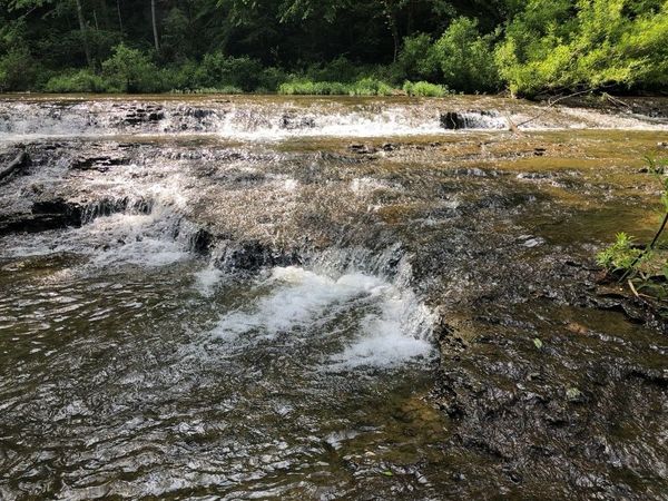 175 Luna Mill Rd , Smithville, TN 37166