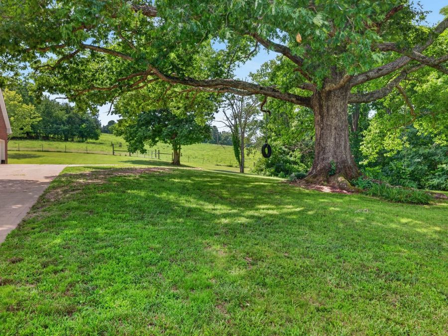Property Image 55