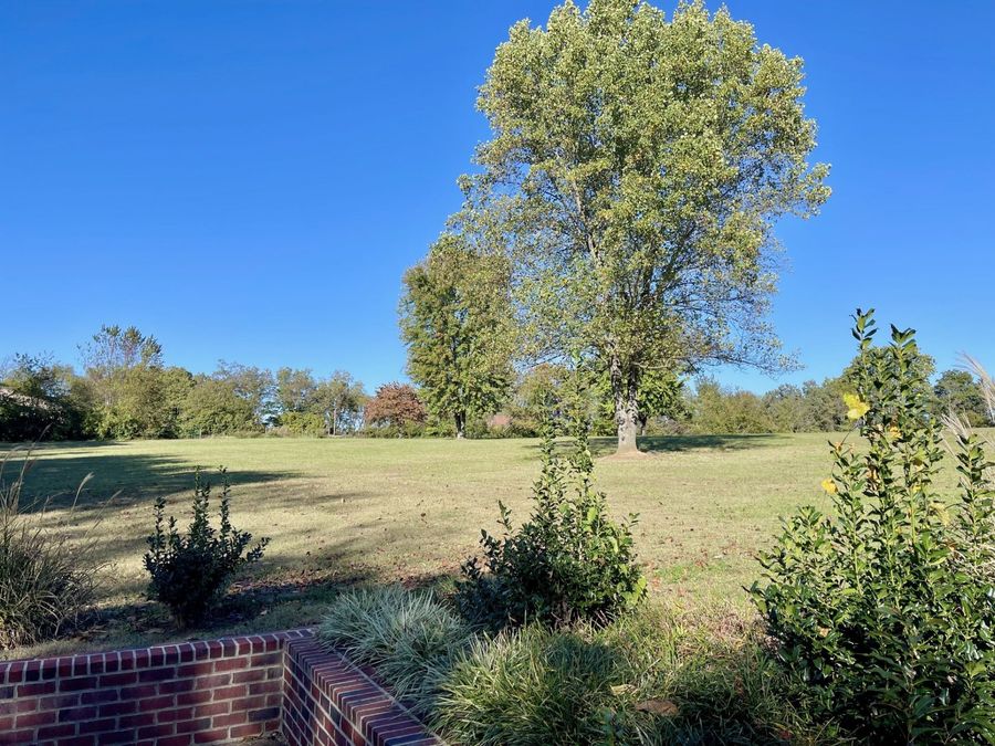Property Image 69