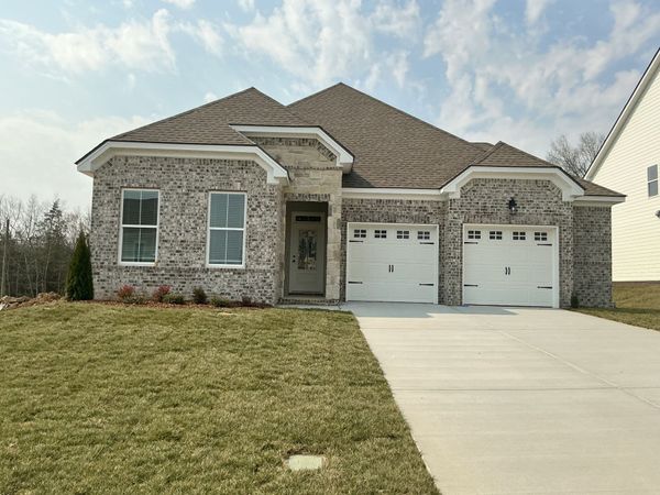 141 Emeline Way, Mount Juliet, TN 37122