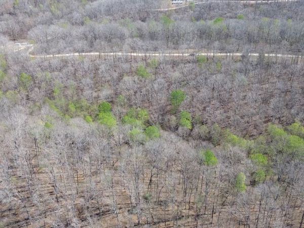 0 Owl Circle , Hurricane Mills, TN 37078