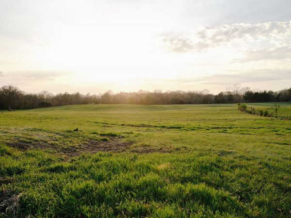 1652 Guy Ferrell Rd , Franklin, TN 37067