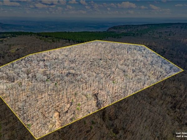 40 Acres , Dardanelle, AR 72834