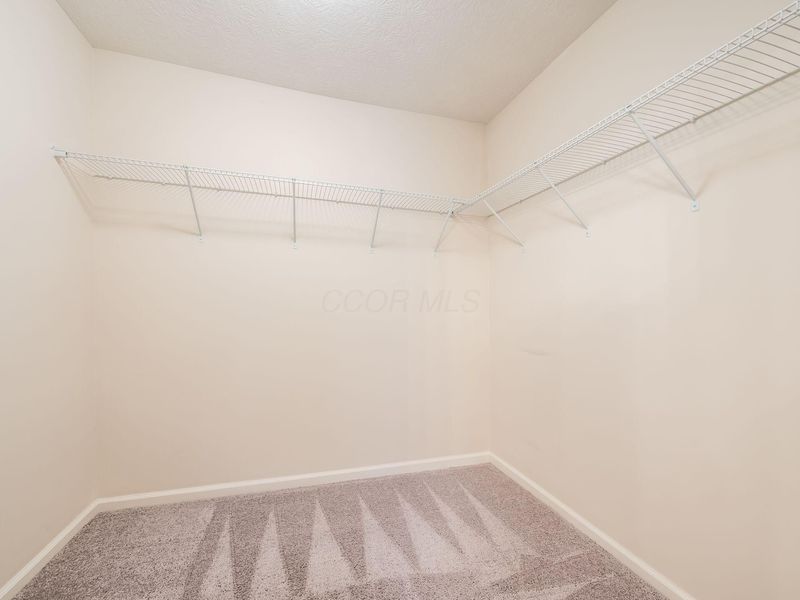 52 Genoa Circle, Commercial Point, OH 43116 Photo 24