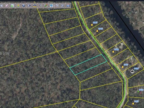 xx NE Chervil Dr , Lee, FL 32059