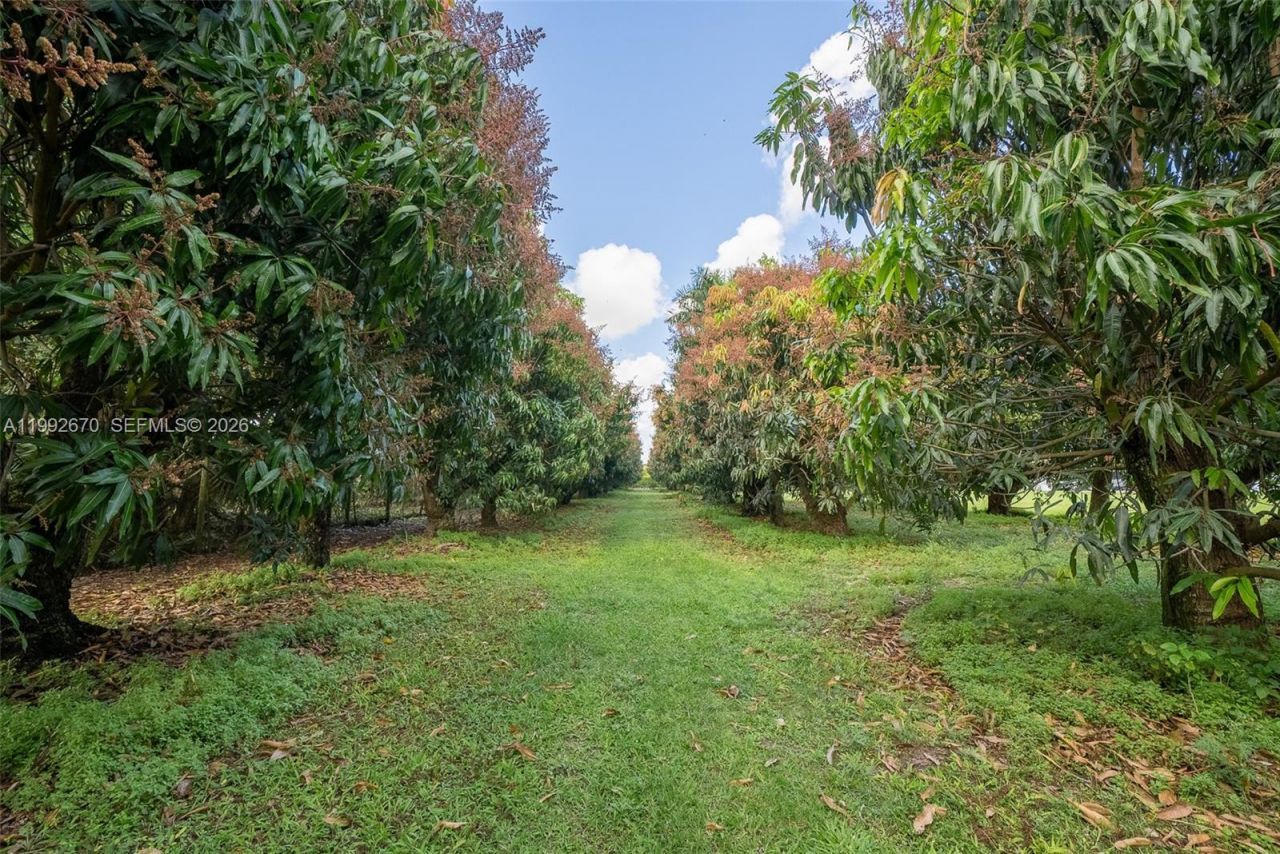 17950 SW 192nd St , Miami, FL 33187 Photo