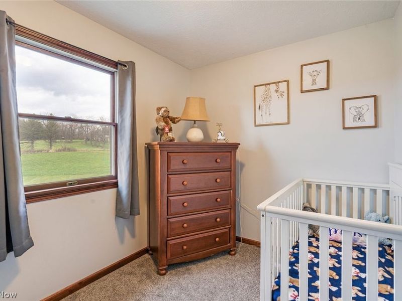 40140 Miller Road, Leetonia, OH 44431 Photo 37