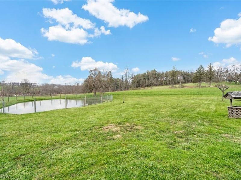 40140 Miller Road, Leetonia, OH 44431 Photo 48