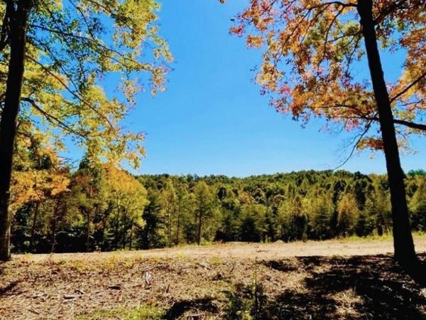 Tract 4 State Park Road , Burkesville, KY 42717