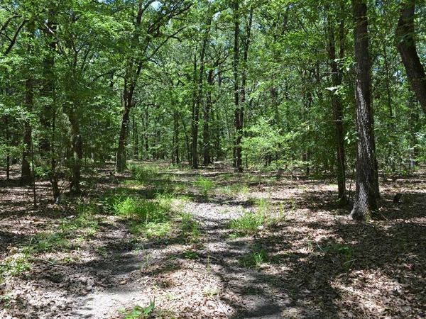 TBD County Road 14590 , Pattonville, TX 75468