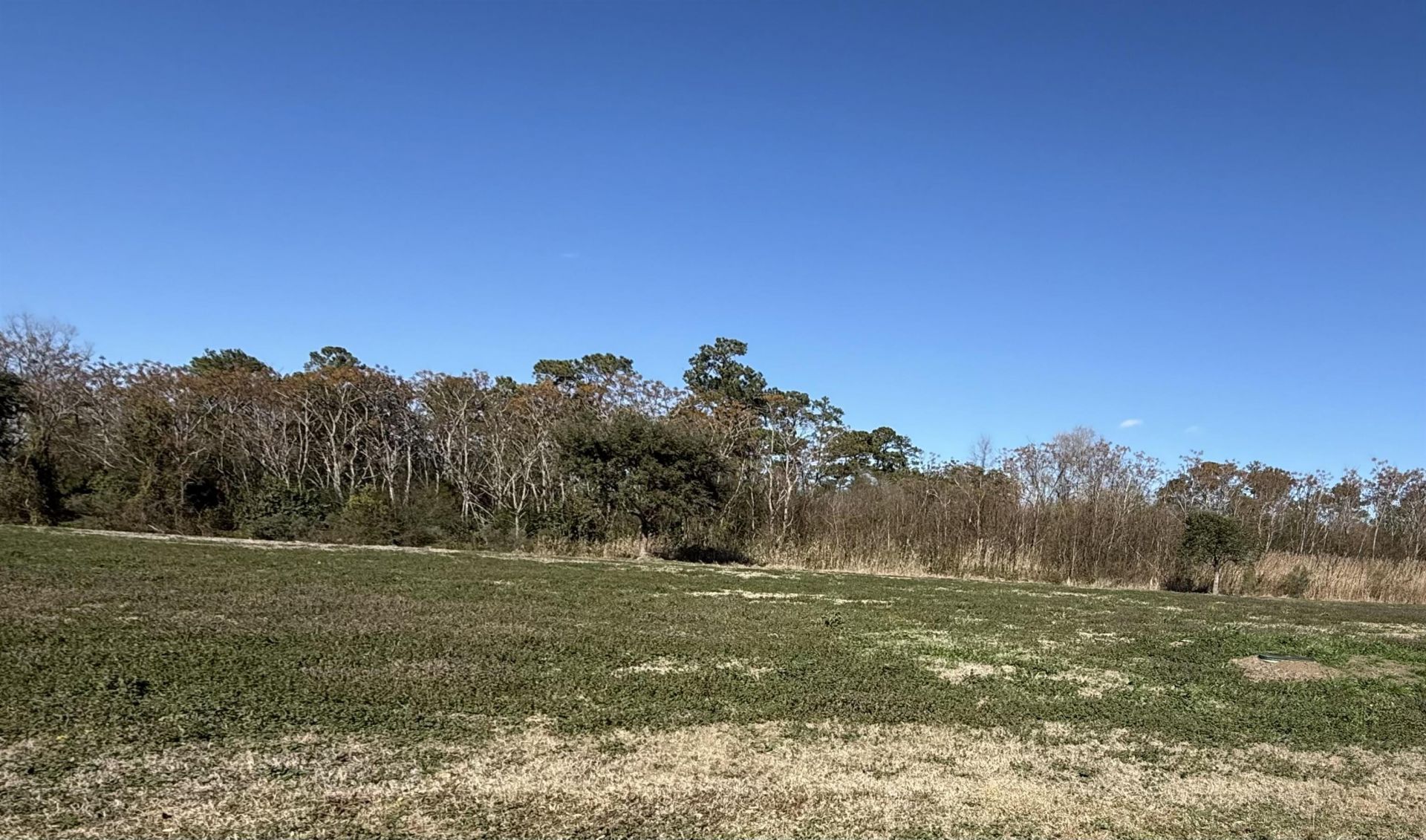 151 Cravens Grant , Georgetown, SC 29440 Main Photo