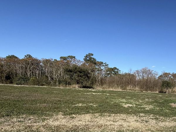 151 Cravens Grant , Georgetown, SC 29440