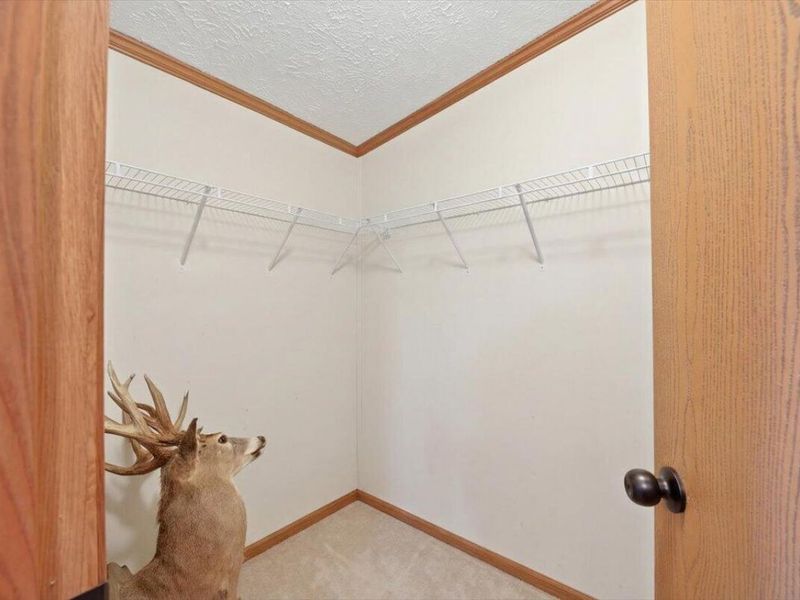 107 Kentucky 467 W, Sparta, KY 41086 Photo 30