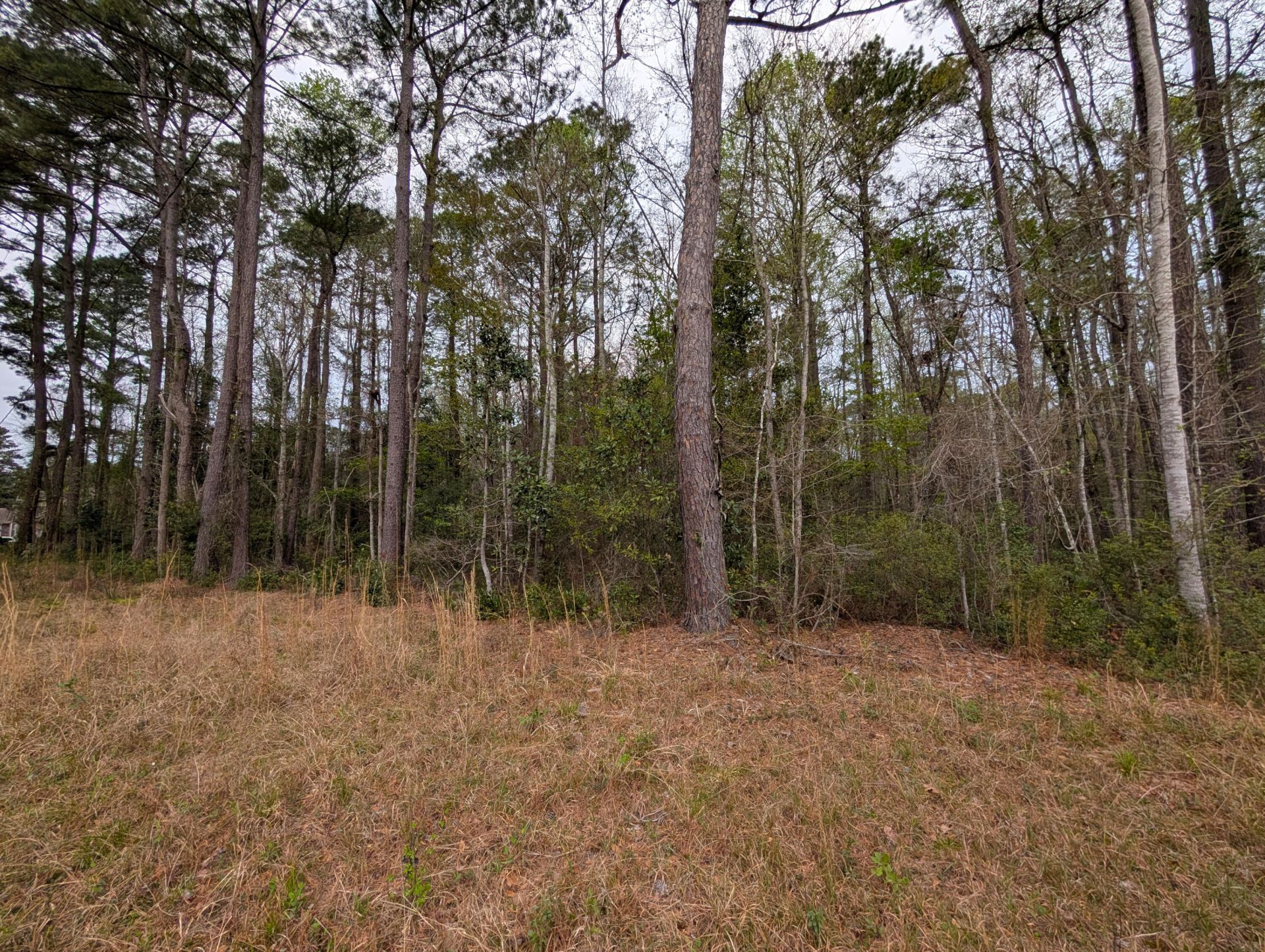 10218 Old Georgetown Road Photo 4