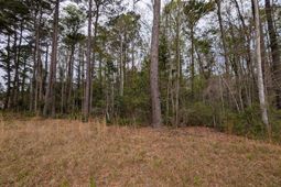 10218 Old Georgetown Road photo 4