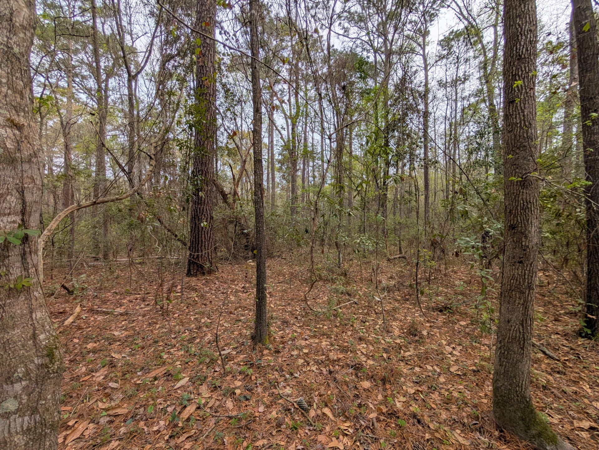 10218 Old Georgetown Road Photo 5