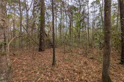 10218 Old Georgetown Road photo 4