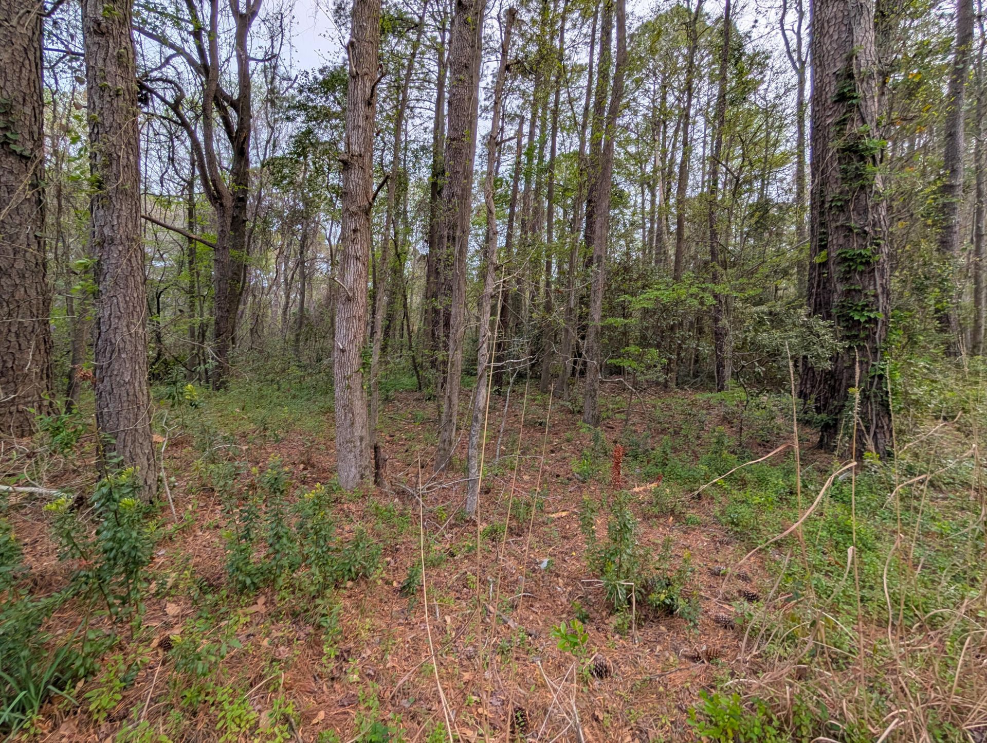 10218 Old Georgetown Road Photo 6