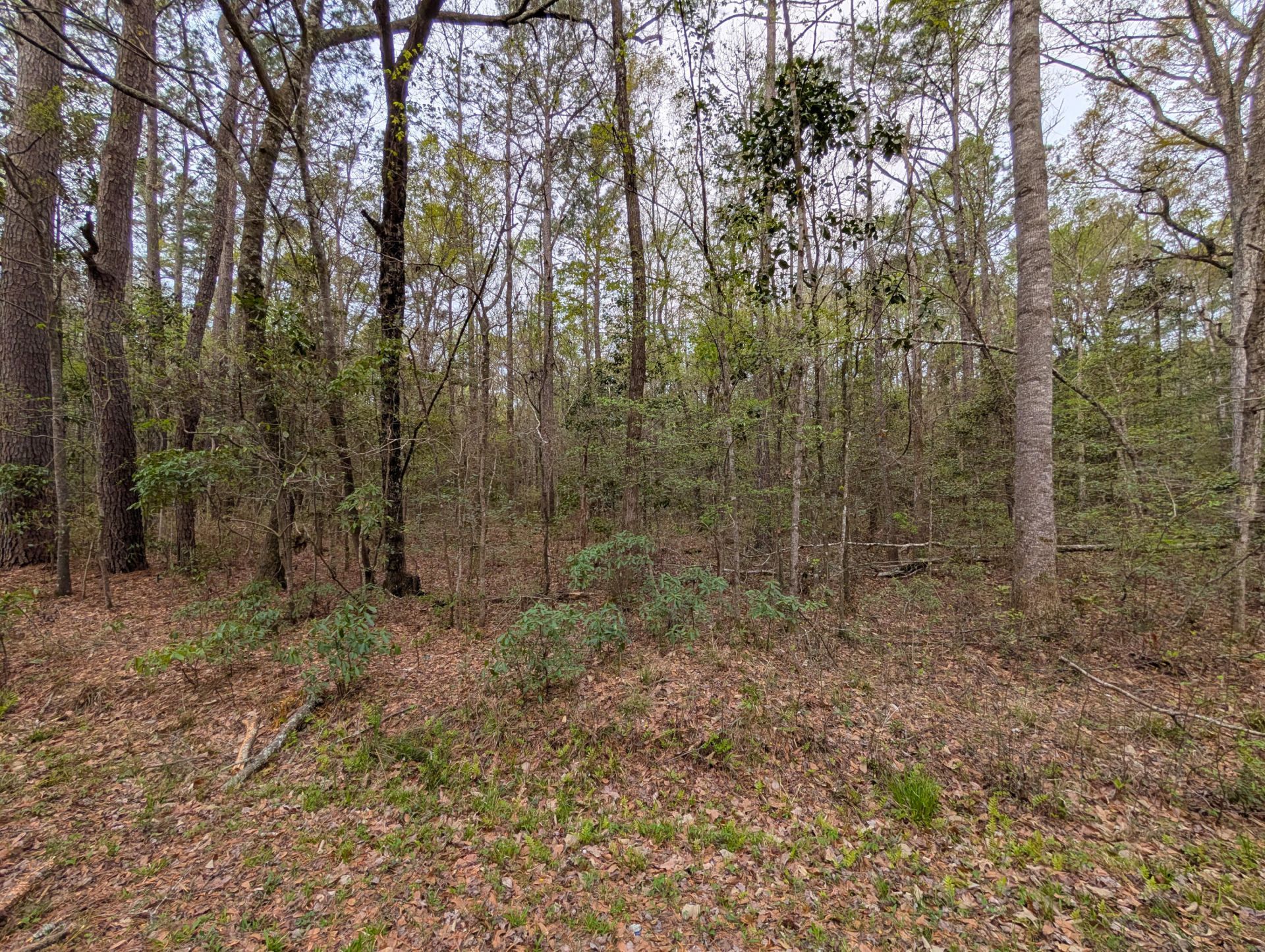 10218 Old Georgetown Road Photo 7