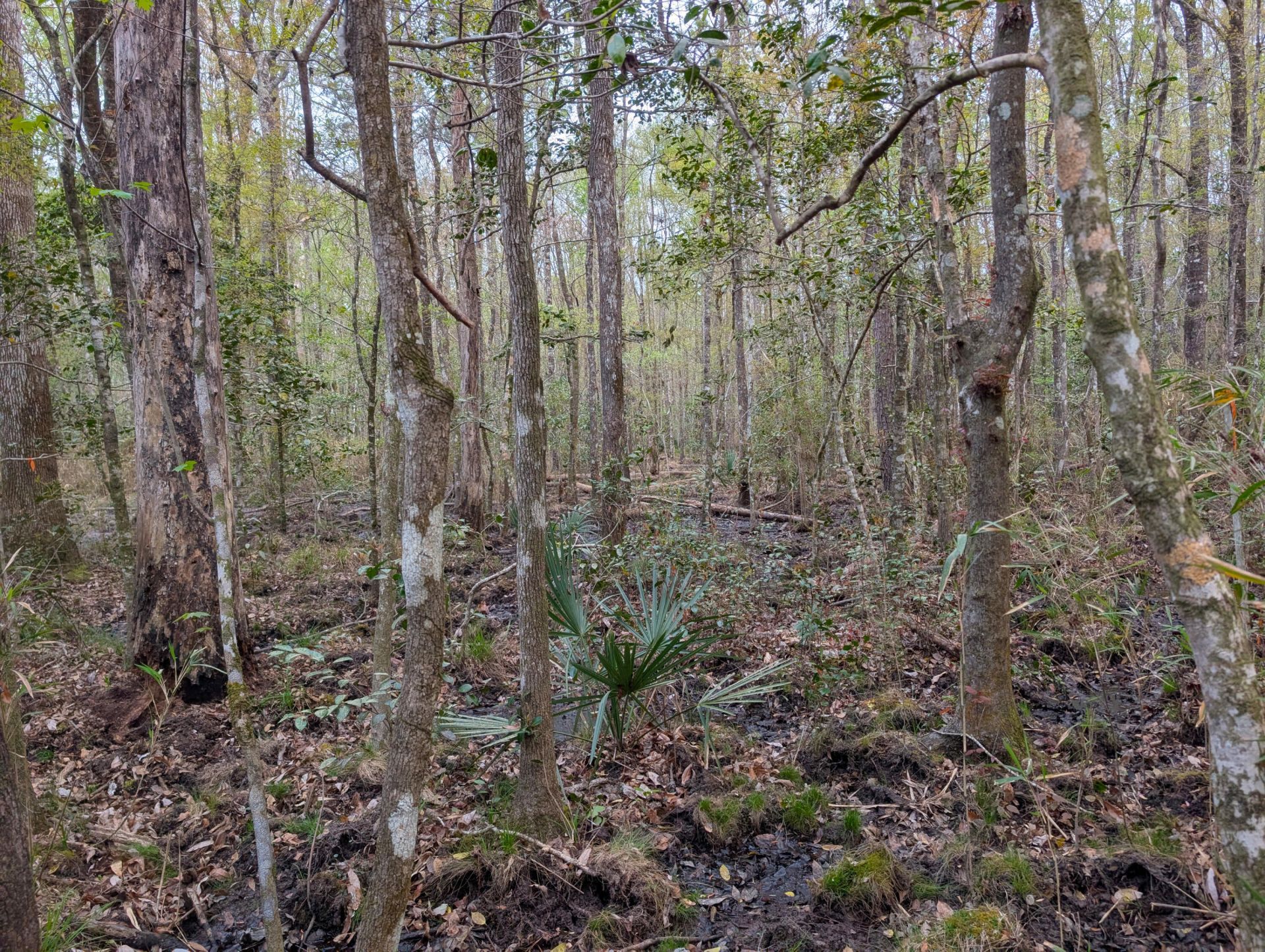 10218 Old Georgetown Road Photo 8